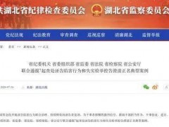 所长遭举报涉黑 官方为其澄清正名 诬告者终受法律制裁